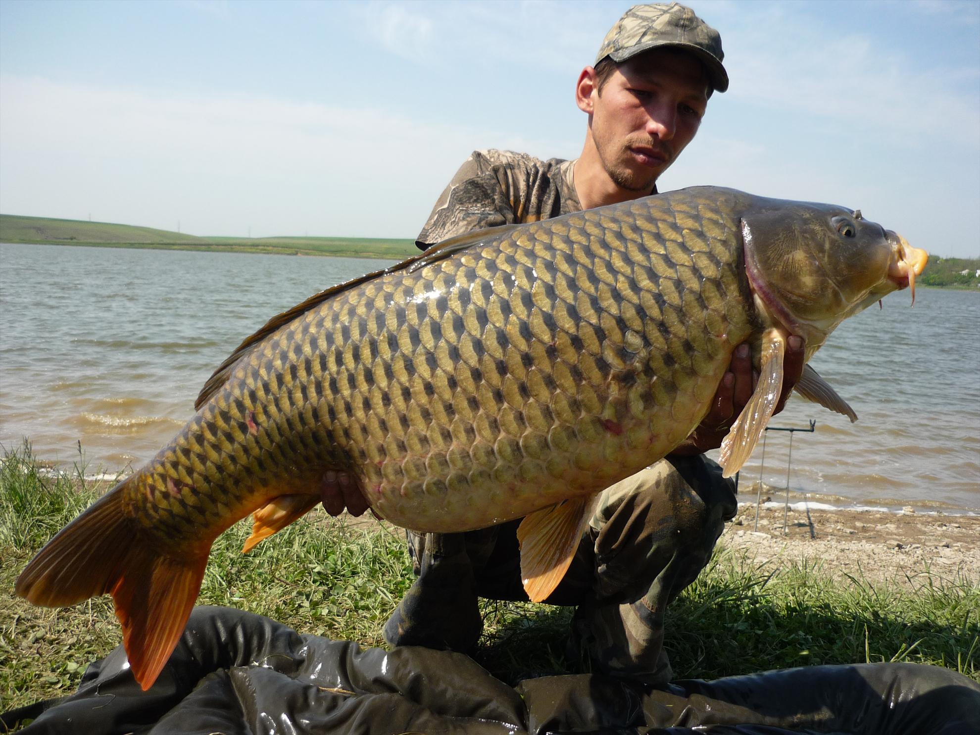 Foto dulapi - picture-123.jpg